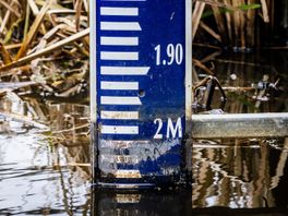 Waarom stemmen voor waterschapsverkiezingen? 'Ik stem ook niet over het weer'