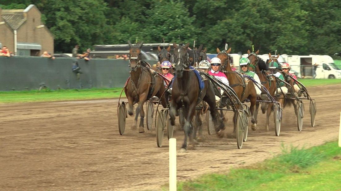 De paarden in de allerlaatste koers op de drafbaan van Groningen