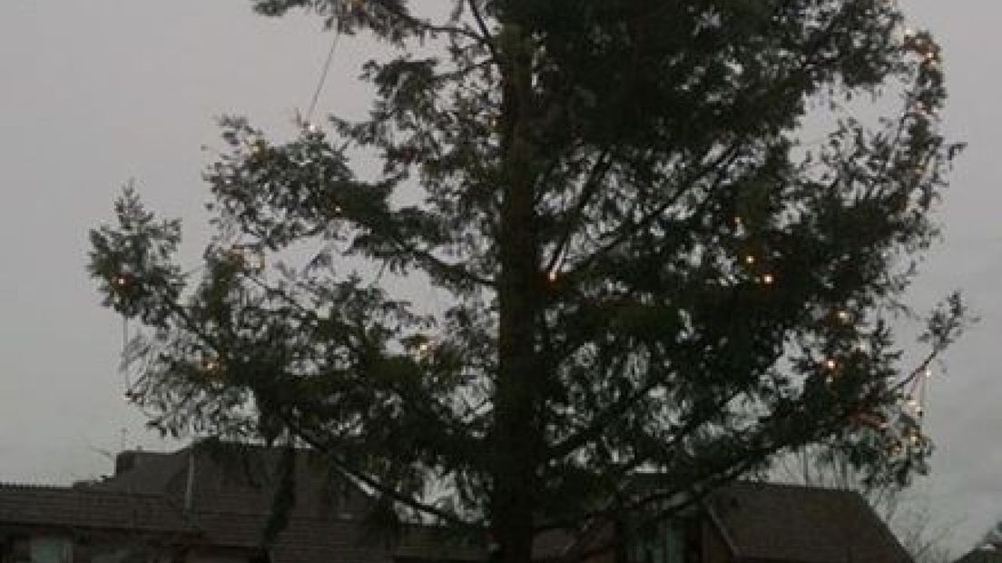 Wie heeft de lelijke kerstboom in Nunspeet omgezaagd?