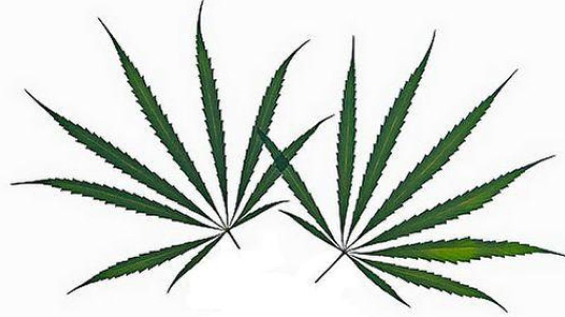 Doetinchem wil aanpak drugsbeleid