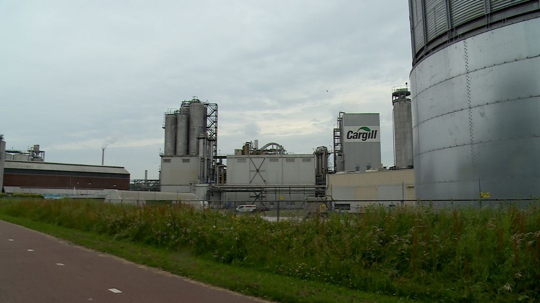Kattenpis of rotte vis, het stinkt in Sas van Gent