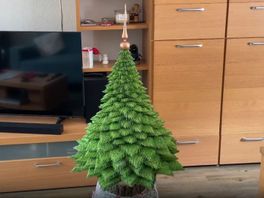 Familie Fidder heeft speciale kerstboom al vroeg in de woonkamer staan