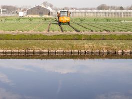 Tientallen verboden bestrijdingsmiddelen in Drentse wateren