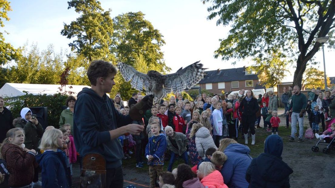 Uil vliegt over het schoolplein