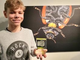 Met de onderkant van een lieveheersbeestje wint jonge Utrechter natuurfotografiewedstrijd