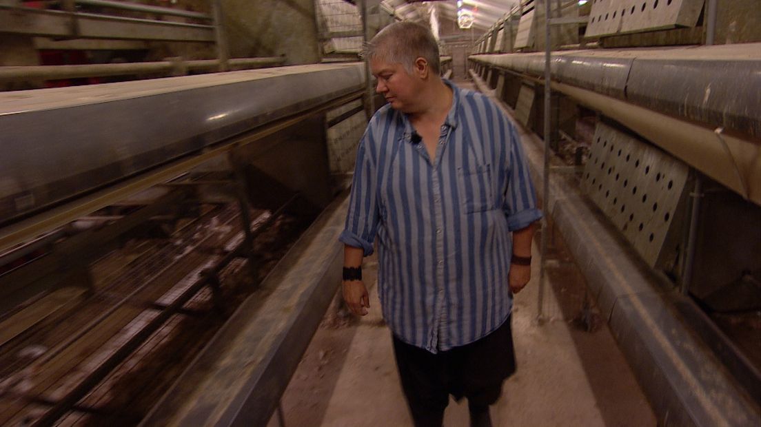 Getroffen kippenboer: 'Ik heb even geen vertrouwen meer'
