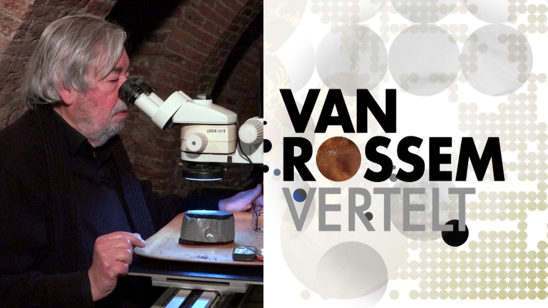 Van Rossem Vertelt over dendrochronologie