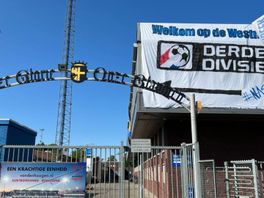 Nachtmerrie werkelijkheid voor IJsselmeervogels: 'Degradatie blijft nog lang een zwarte bladzijde'