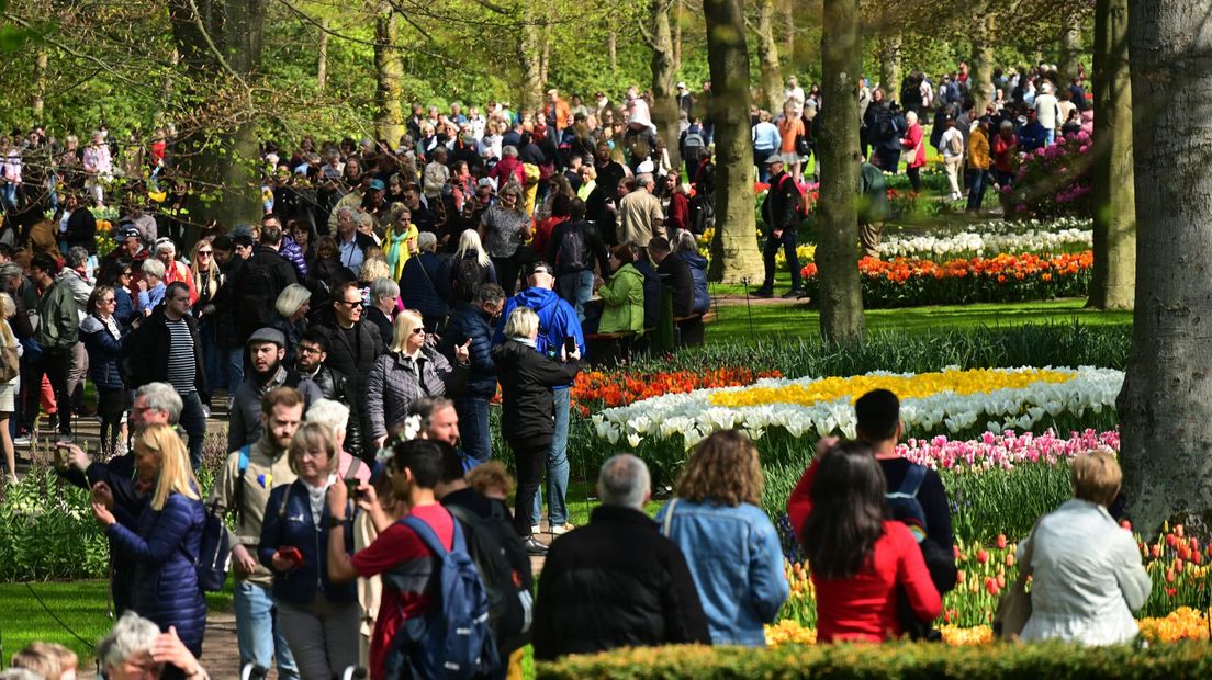 Het is druk in de Keukenhof met bezoekers