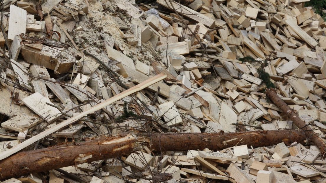 De biomassacentrale stookt onder meer hout.