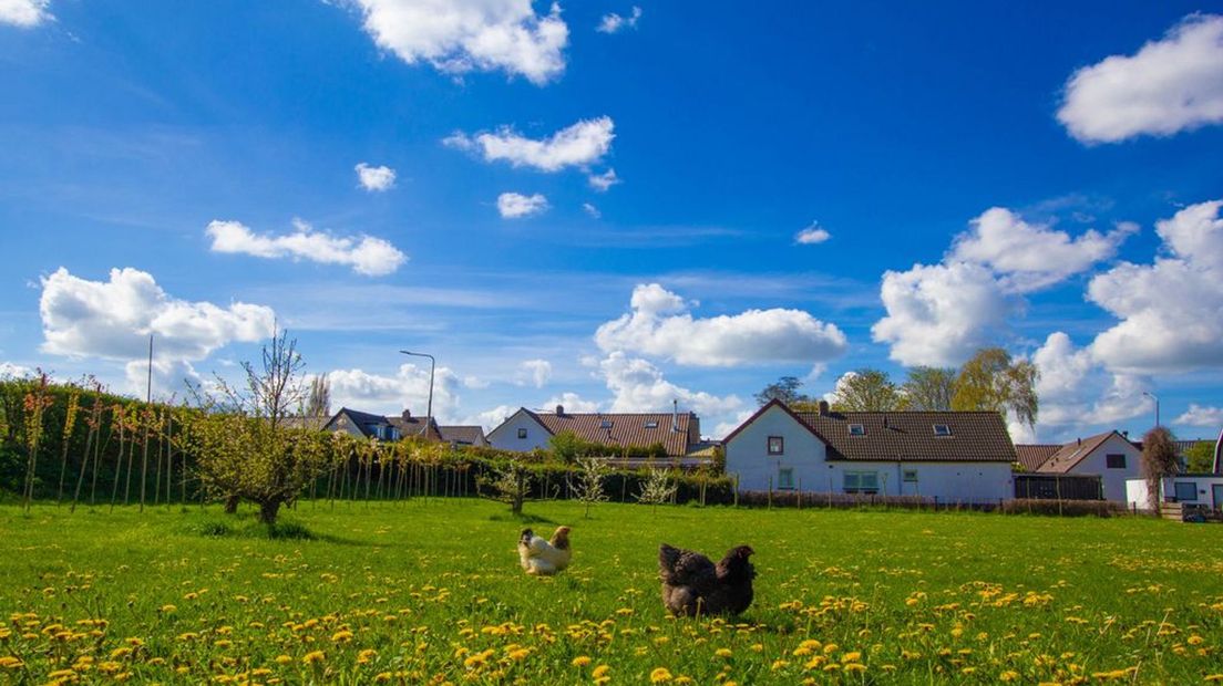 Het lenteweer zoals hier in Buurmalsen zien we niet het hele weekend.