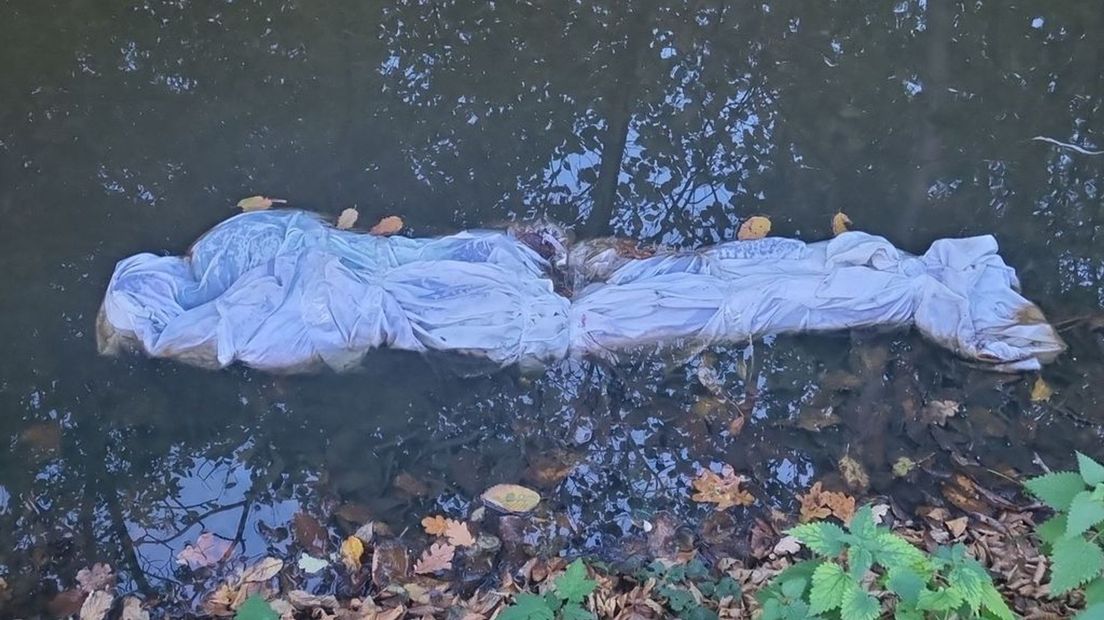 De wandelaar dacht dat ging om een levenloos lichaam.