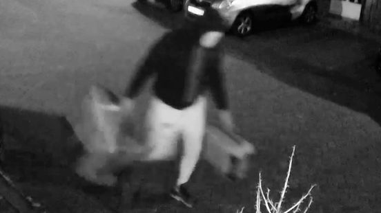 Overvallers gefilmd terwijl ze met buit over straat lopen - Team West