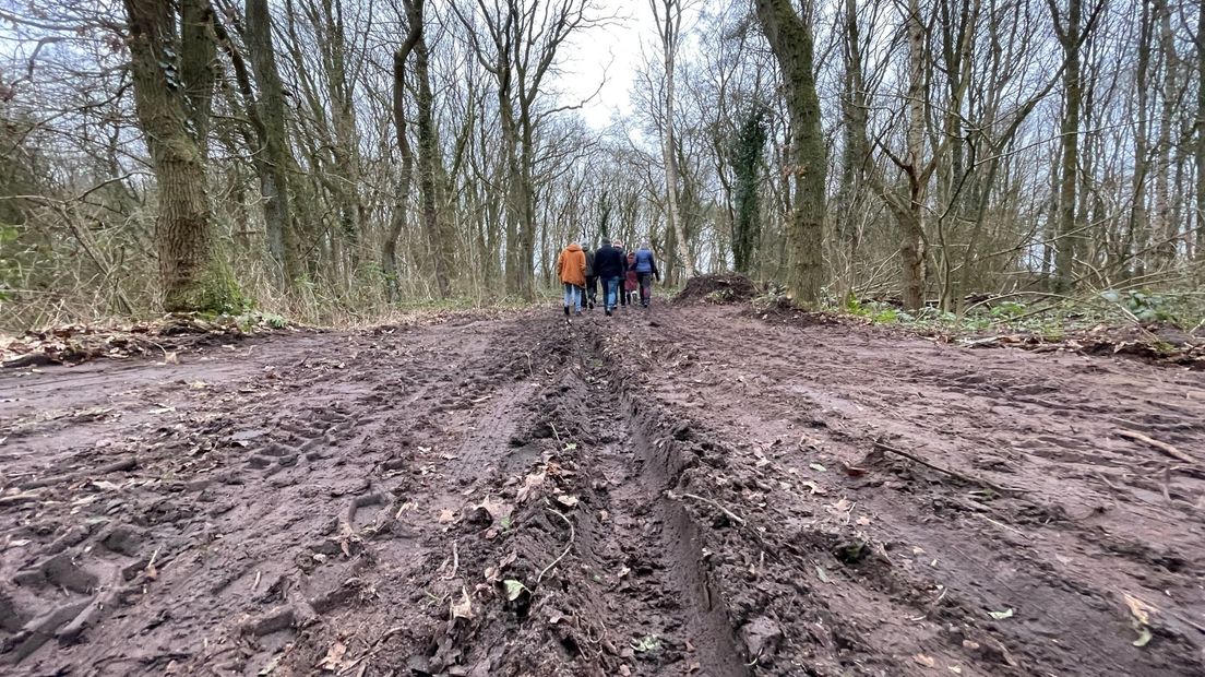 Zwanemeer Eext Gieten