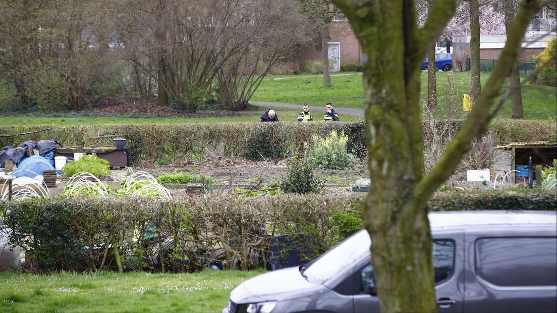 Buurtbewoner vindt kogelhulzen op straat in Zwolle