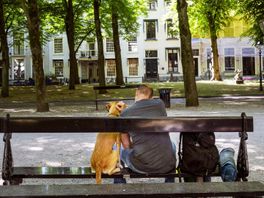 'Problematiek van dakloosheid in Den Haag wordt ernstig onderschat'