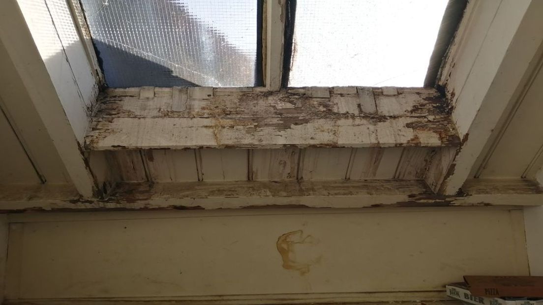 ‘Paddenstoelen groeien uit de muur', schrijnende woonsituaties in studentenhuizen