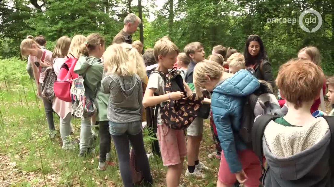 Gelderland Helpt