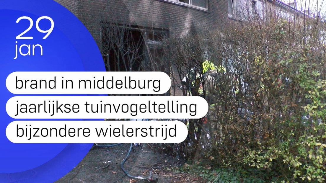 Zeeland Nu