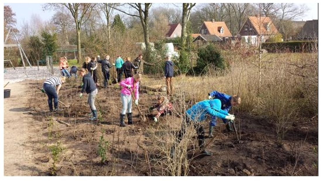 Pleinwerkzaamheden bij OBS Wapserveen