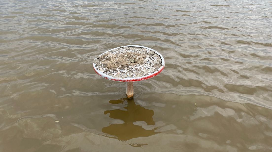 Een omgekeerd verkeersbord van de gemeente Het Hogeland met een nest van visdieven