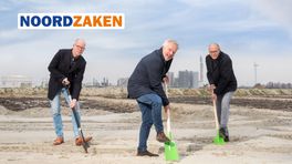 Bouwplannen voor fabriek voor waterstof uit sloop- en snoeihout
