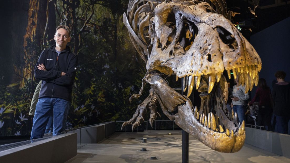 Geroosterd Aan boord slecht T-rex komt tot leven in Naturalis: 'Rexperience' laat het leven van Trix  zien - Omroep West