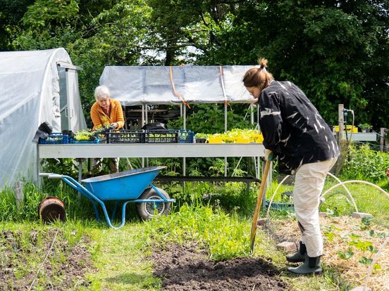 Tien jaar sociaal tuinieren in Transwijk: 'Utrechters vinden hier steun en vriendschap'