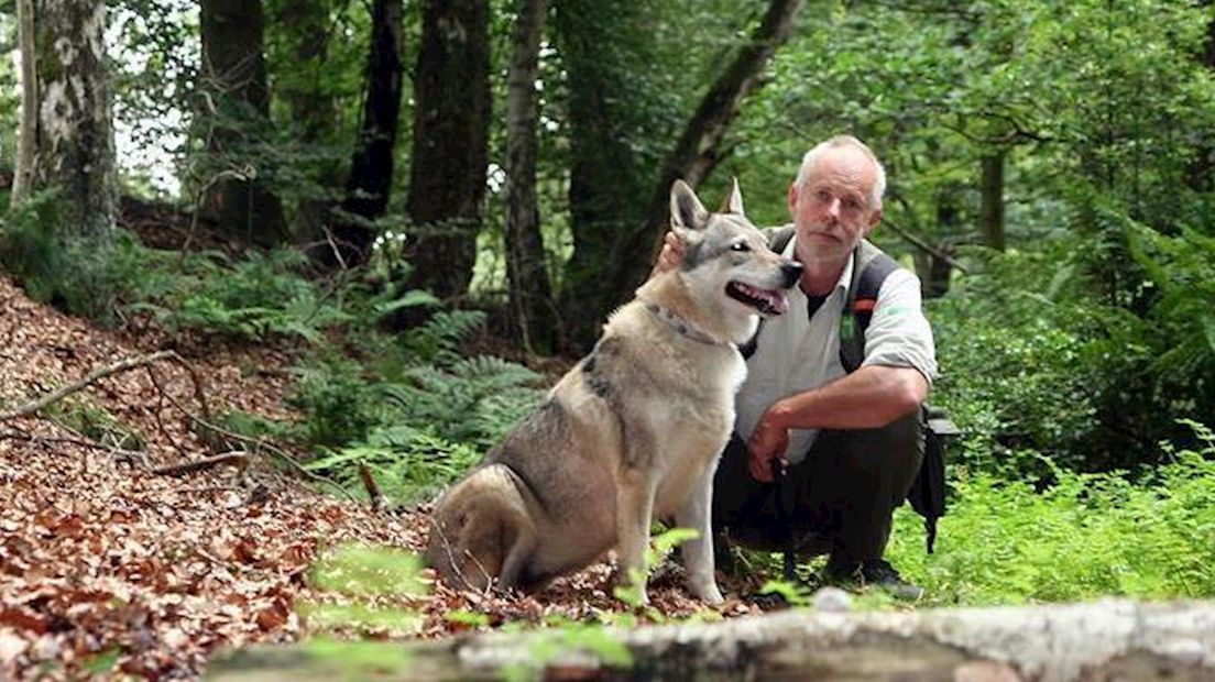 Roel Korbee, boswachter en wolfliefhebber