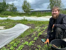 Lokale tuinderijen brengen mensen dichter bij de natuur: "Mijn kinderen eten nu alles"