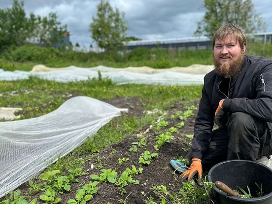 Lokale tuinderijen brengen mensen dichter bij de natuur: "Mijn kinderen eten nu alles"