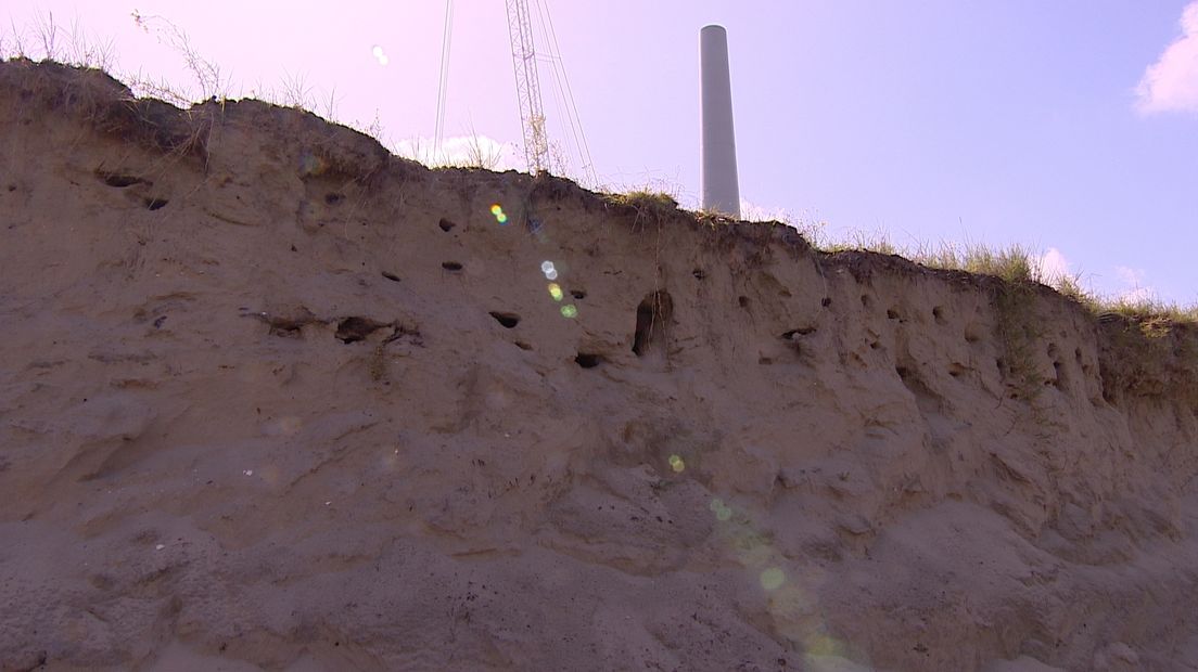 Nesten van de oeverzwaluw op windpark Krammer
