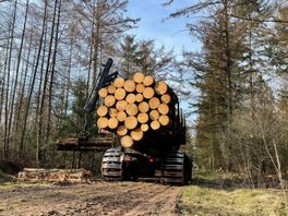 Waarom is er bijna geen haardhout meer te krijgen?
