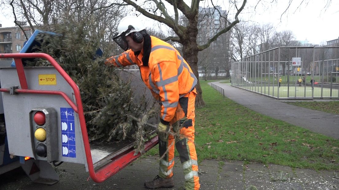 Kerstboom