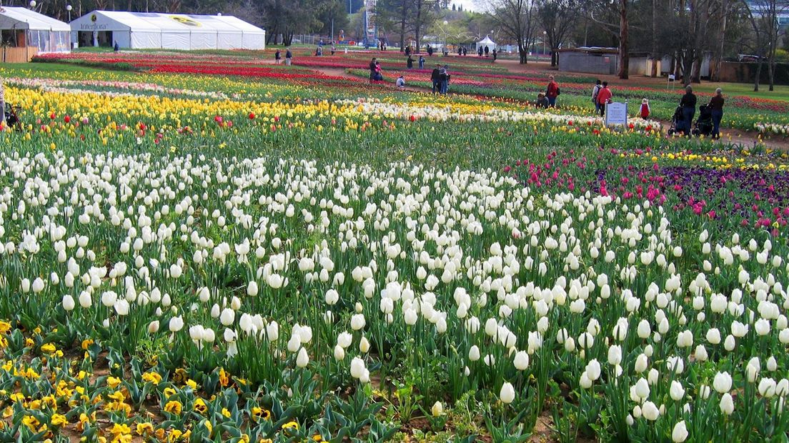 Floriade