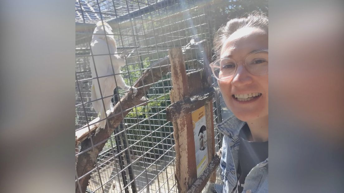 Hoe is de coronacrisis voor dieren?