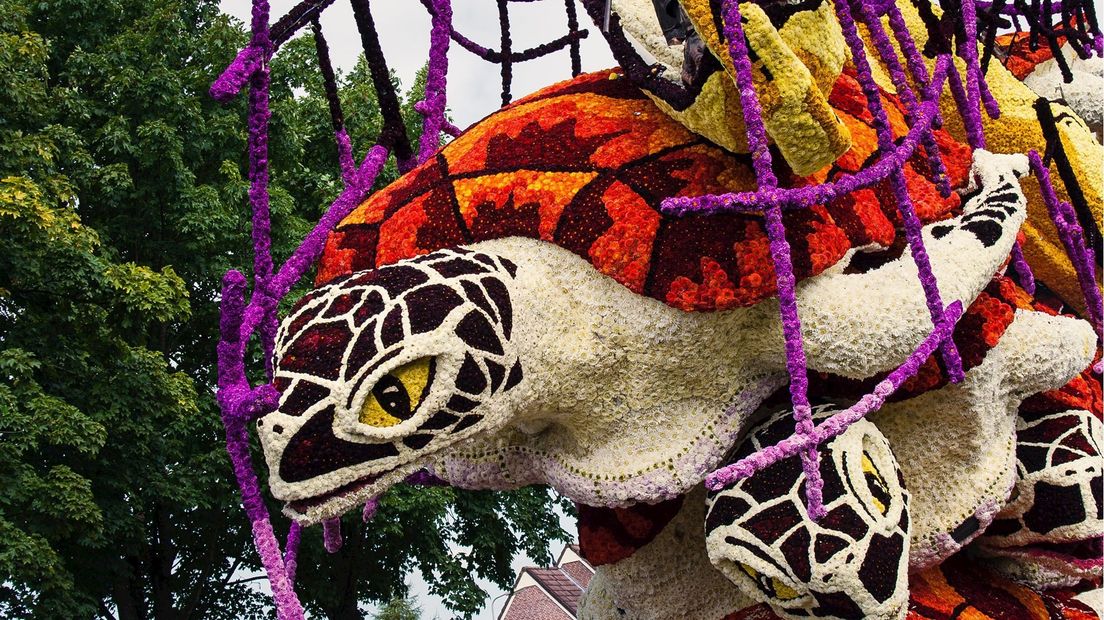 Bloemencorso Sint Jansklooster