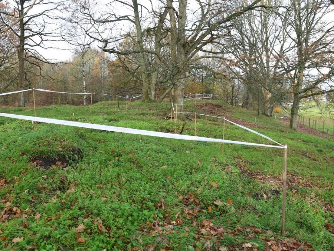De heuvel waarin mogelijk een hunebed is verscholen (Rechten: Van Oost Media)