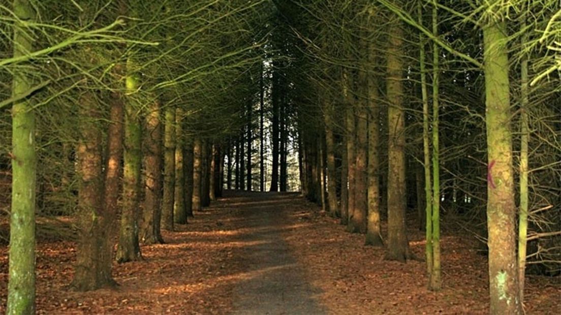 Borgerswold in Veendam