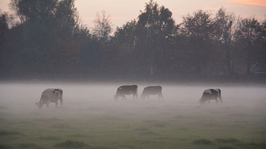 Mist in Overijssel