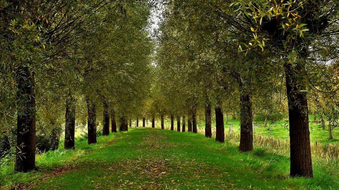 Ook Veere is in herfstsferen