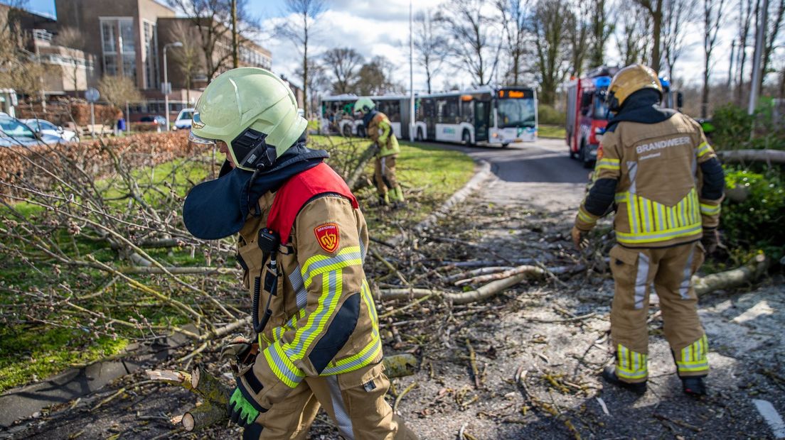 Brandweer verwijdert omgevallen boom van buslijn