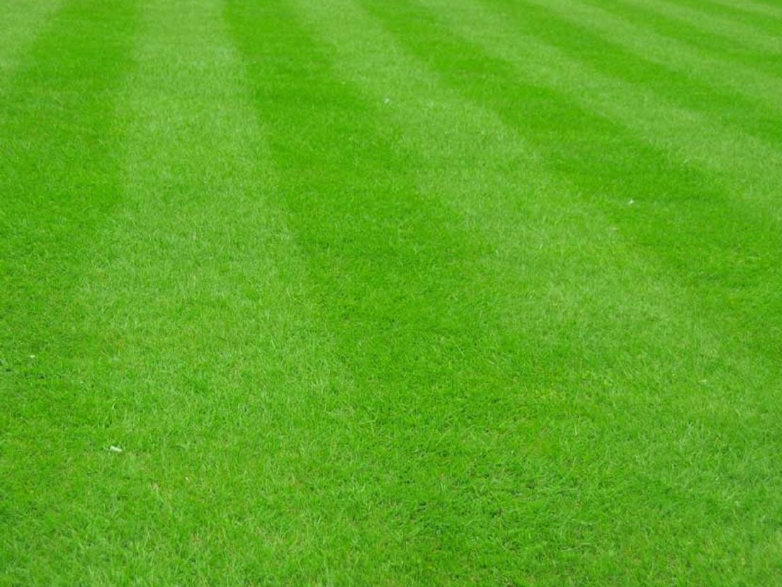 Waarom is het gras altijd groener aan de andere kant