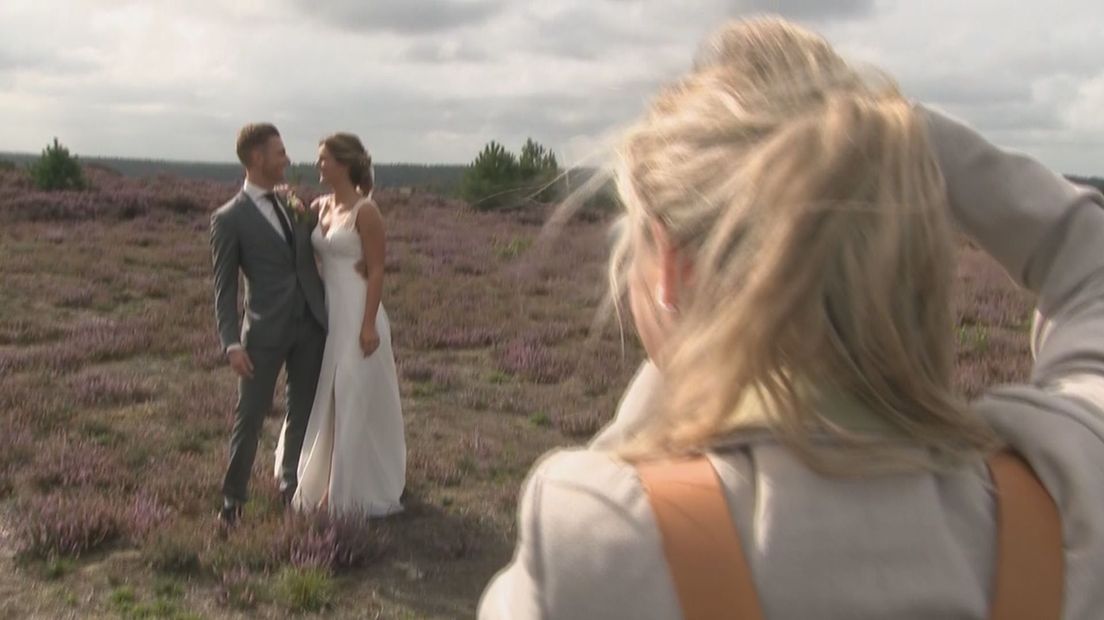 De heide in bloei, een populaire plek voor bruidsreportages.