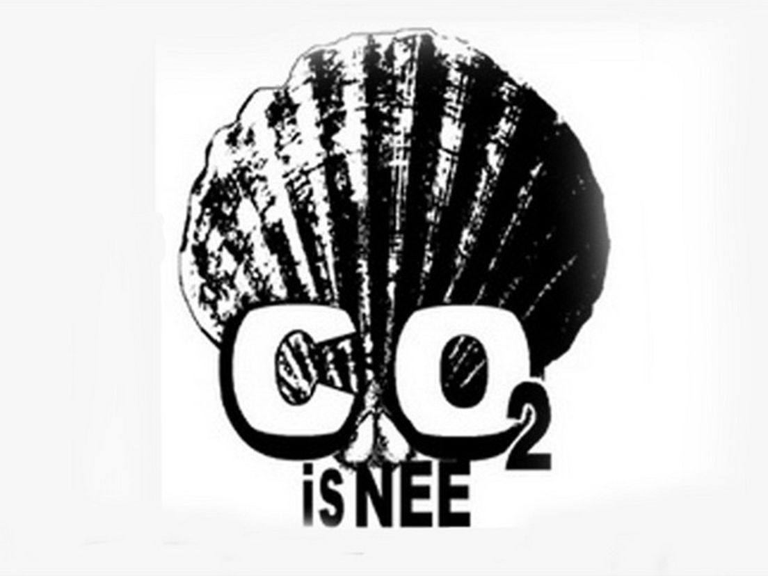 co2nee.cropresize.tmp.jpg