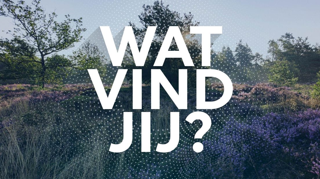 Wat vind jij?