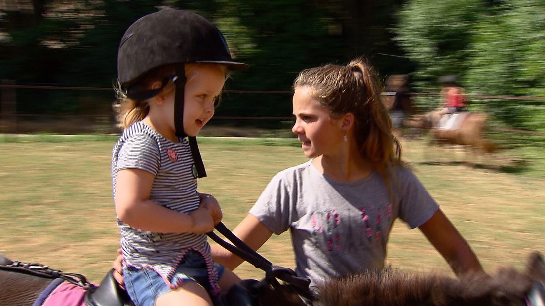 Een ritje op een pony kost 1 euro tijdens de fair