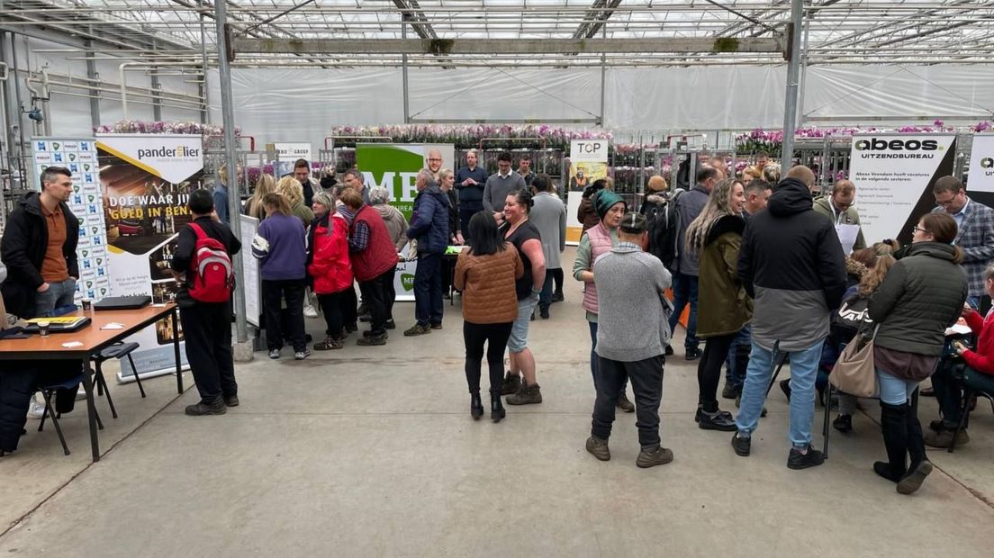 Banenmarkt in de kas in Zuidhorn