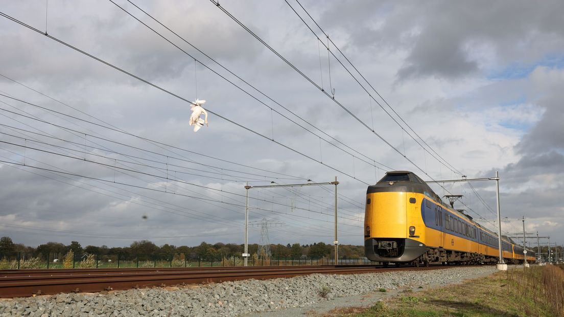 Op het traject Zwolle-Meppel hangt een zwaan in de bovenleiding. Het dier zit vast.