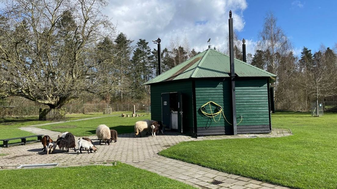 De kinderboerderij in Hoogezand